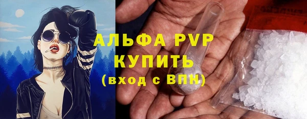 сатива Новокубанск
