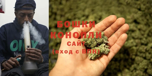 ALPHA PVP Новозыбков