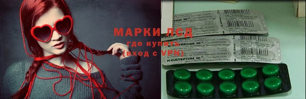 сатива Новокубанск