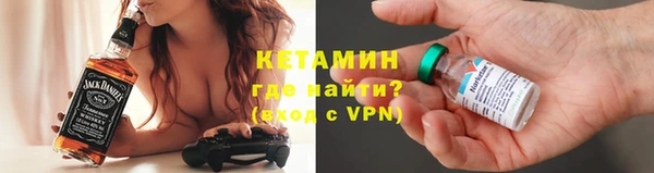 сатива Новокубанск
