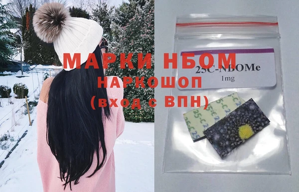 сатива Новокубанск