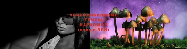 jwh Новодвинск