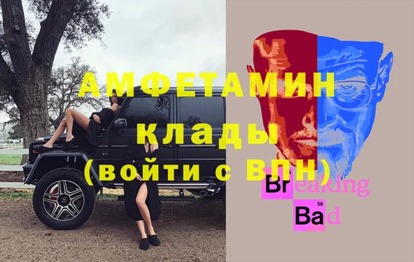 сатива Новокубанск