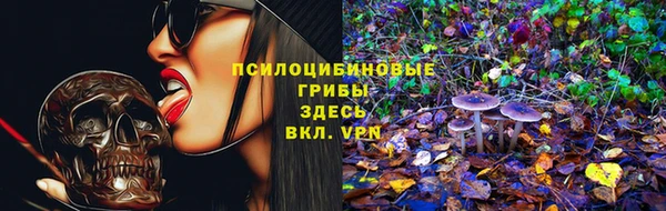 сатива Новокубанск