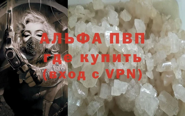сатива Новокубанск