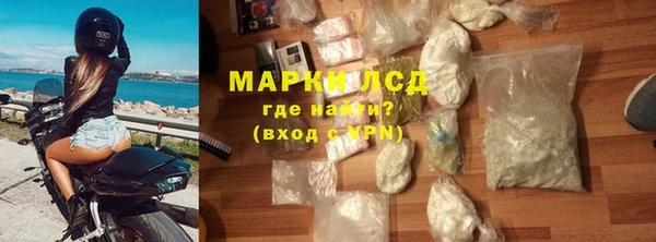 сатива Новокубанск