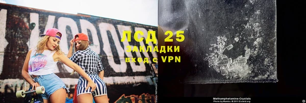сатива Новокубанск