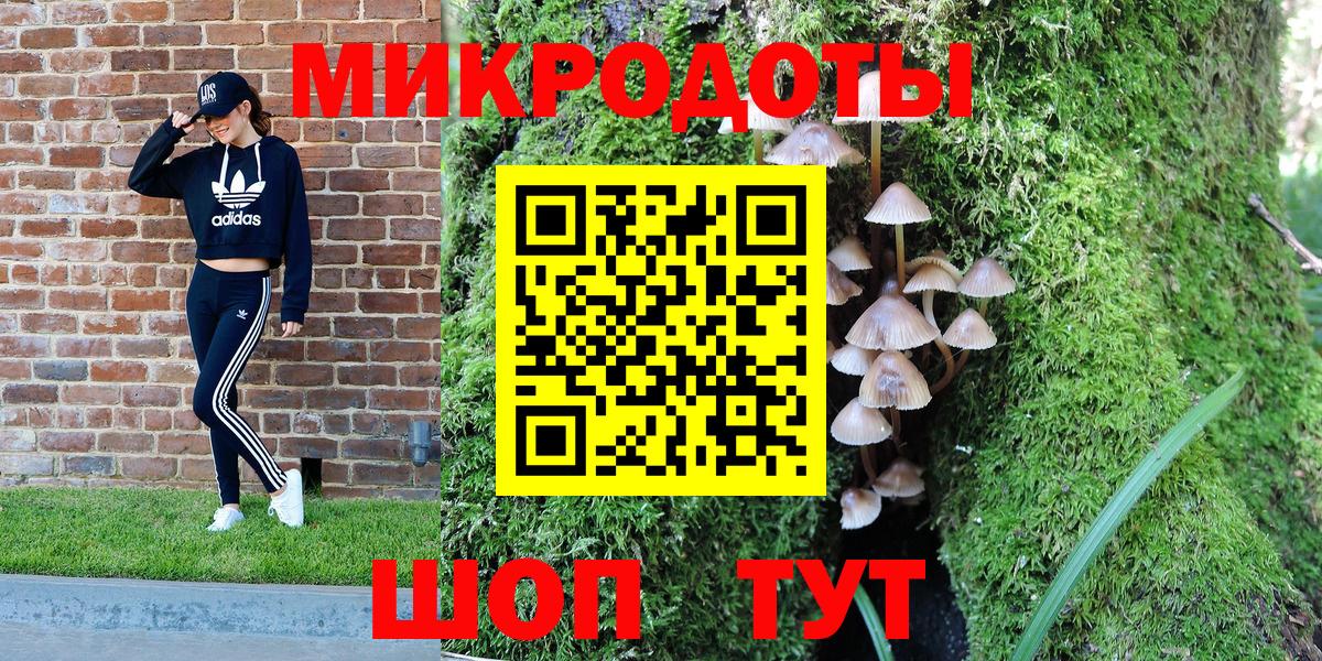 Галлюциногенные грибы мицелий Чита