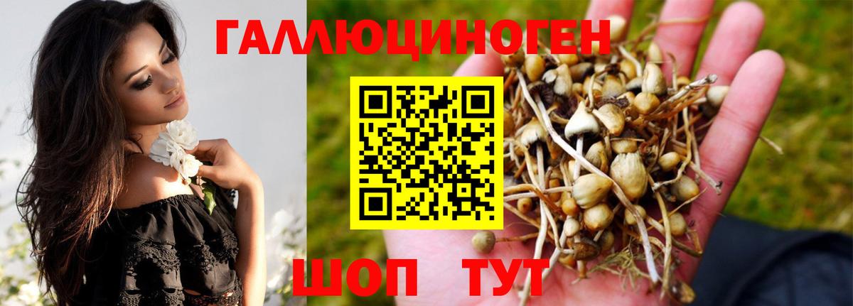 Чита  Галлюциногенные грибы ЛСД  Галлюциногенные грибы Magic Shrooms  Вход с VPN 