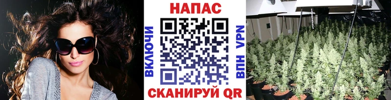 Марихуана ГИДРОПОН  Чита 